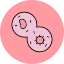 Polipectomia