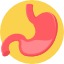 Endoscopia digestiva alta